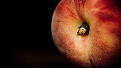 Black background fruits peaches
