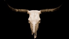 Black background horns skulls