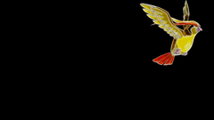 Black background minimalistic Birds