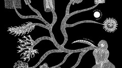 Black background minimalistic surreal art