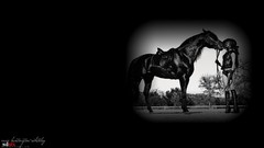 Black background models rosie huntington-whiteley Vignette