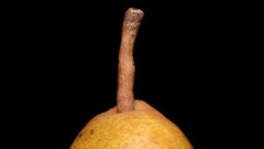 Black background pears