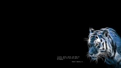 Black background Tigers Quotes