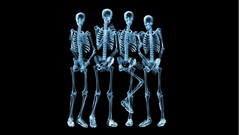 Black background X-ray skeletons