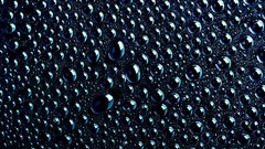 Black backgrounds water drops
