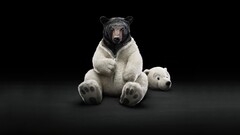 black Bears digital art Simple Background Animals Mammals