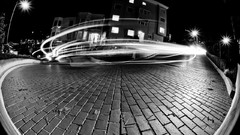 Black black and white white