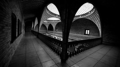 Black black and white white