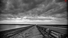 Black black and white white