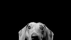 Black black background monochrome