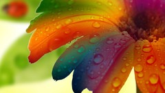 Black blue calm bay Beaches caves cena