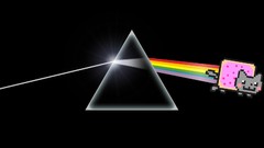Black cats pink floyd nyan cat dark side The Dark Side Of The 