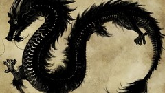 Black Chinese black dragon