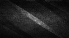 Black dark Flowers grunge