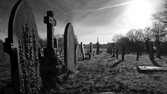 Black dark Gothic cemetery