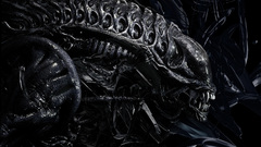 Black dark xenomorph Aliens