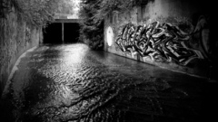 Black dark You best need moar ones graffitiandriver