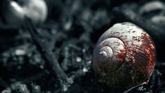 Black darkness snails