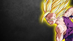 Black Dragon Ball Z gohan Son Gohan