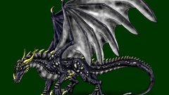 Black Dragons