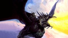 Black Dragons backgrounds