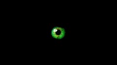 Black eyes Green abstract black background deviantart