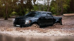 Black Ford swamps forests Ford F-150 SVT Raptor WB Ford Raptor