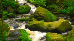 Black forest creeck rocks