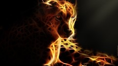 Black Fractalius cheetahs Photo