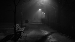 Black grayscale Parks