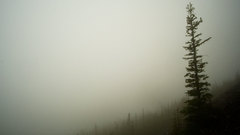 Black high Resolution