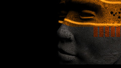 Black jaguar dragon Animals