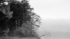 Black Lake white and foggy 1600x1200