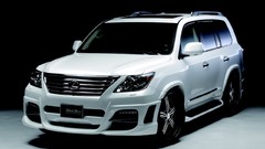 Black line Sports Lexus bison