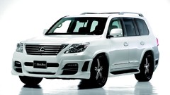 Black line Sports Lexus bison