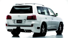 Black line Sports Lexus bison