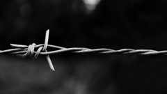 Black monochrome chains