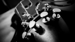 Black Music white instruments violins