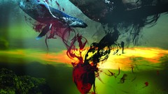 Black ocean 2008 experimental album covers A Storm Of Light