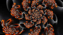 Black orange abstract floral