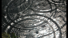 Black rain high Resolution