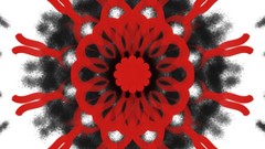 Black red white kaleidoscope symmetry