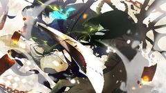 Black rock shooter