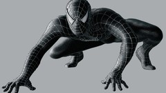 Black Spider-Man suit artwork