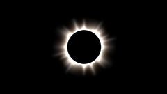 Black Stars eclipse sun