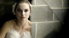 Black swan high bump Resolution