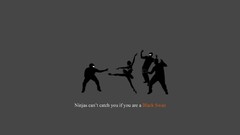 Black Swan minimalistic ninjas ninjas cant catch you if