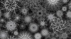 Black swirls grayscale Incase Ryan McGinness