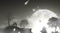 Black white and some amp get let ceda