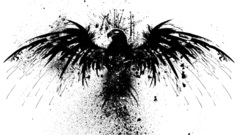 Black white Birds germany